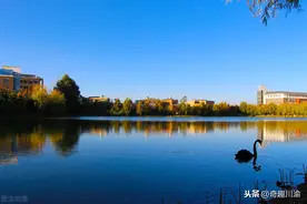 云南很奇怪的高校，专科的时候被称为大学，升本后却改名为了学院图片