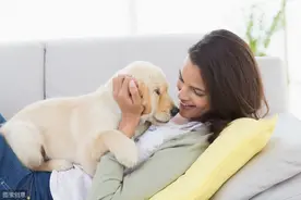 狗狗这6种常见行为，都是爱主人的表现，你中了几条？图片