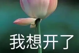 中老年表情包，为何能forever young？图片