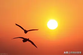 拿什么拯救你我的爱人图片