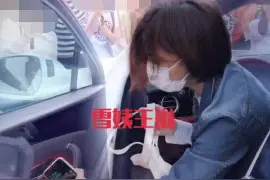 "雪姨"王琳开300万豪车，手拿环保袋都是名牌！被赞处事低调图片