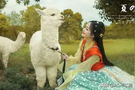 少女和羊驼图片