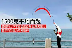 双宝龙神威经典款台钓竿，轻细款，手感好，不易断节图片