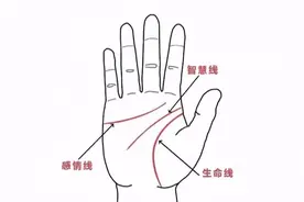 对比双手感情线，看穿你这辈子的爱情归属图片