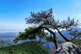 毛主席、苏轼、李白、白居易等都写过庐山的诗，你最喜欢哪一首？图片
