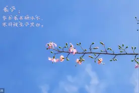 重疾定义大修订！新增3种重疾，不剔除甲状腺癌，按严重程度赔付图片