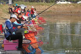 低密度黑坑不好钓，要分清是什么原因导致的，才能针对性应对图片