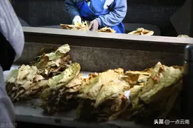 带上烟草的云南GDP成色几何？江浙沪：明显开挂图片