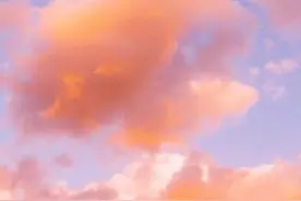手机壁纸｜谢谢你让我从你的全世界路过.图片