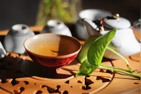 孕妇不能喝茶，因为茶中含有咖啡碱，真的是这样吗？图片