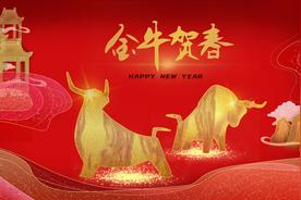 年味儿▏文明的密码，民族的基因，就在年俗的仪式感中代代传承着图片
