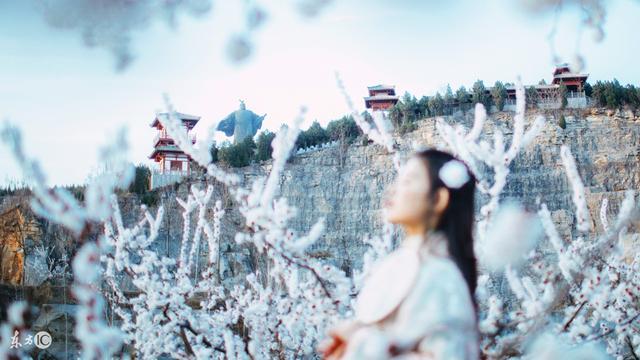 吃花胶能去疤吗 2026年吃花胶能去疤吗怎么吃 吃花胶能去疤吗 2026年吃花胶能去疤吗怎么吃