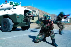 原武警部队14个机动师历史介绍（五）图片