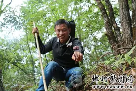 桂东发现野生血灵芝！专家称极为罕见图片