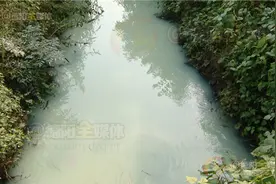 “米汤河”异味刺鼻  居民急盼查源治污！图片