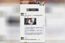 被柯南和毛利的朋友圈笑炸了，原来都是粉丝脑洞大开催电影定档视频封面