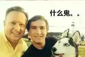 哈士奇与金毛，画风瞬间不对了！图片