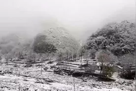白鹿原银装素裹分外妖娆 好想打雪仗视频封面