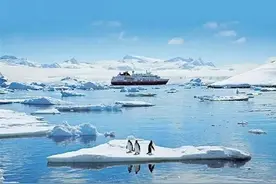 南极旅游，邂逅企鹅！约不约？图片