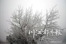 2016年毕节韭菜坪 在7城的艳阳里大雪纷飞图片
