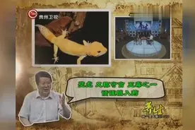 太神奇！壁虎有再生能力又被称为守宫，用它入药必须谨慎使用视频封面