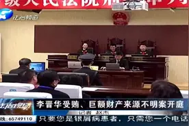 李晋华受贿、巨额财产来源不明案开庭视频封面
