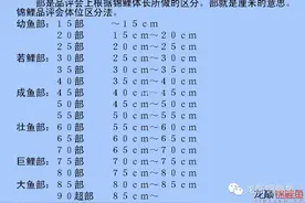 鱼体长单位“部”的正确解释图片