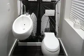 不想马桶堵住 不要做这些事图片