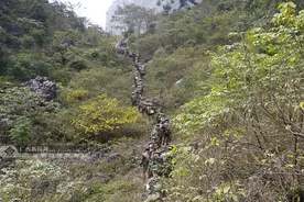 “魔鬼”训练锻造反恐精英图片