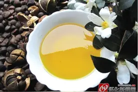 怀化美食｜山珍贡品：山茶油图片