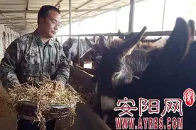 王银朝：硕士念出的“养驴经”图片