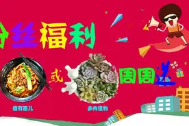 电话“响一声就挂”！背后的阴谋竟然是这个……图片