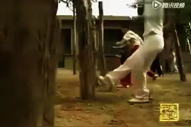 戳脚功夫狠不狠  看看图片