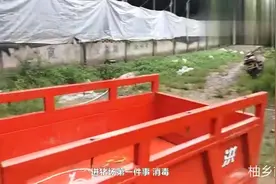 4个月大的公猪见到这么多母猪还害羞呢哈哈视频封面