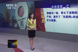 央视深度解析“淘宝村”年销售额50亿的生意经视频封面