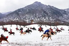 雪花飘落的时候图片