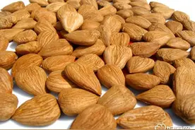 苦杏仁为什么有毒图片