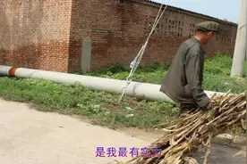 古惑仔电影-《我话事》DJ版太好听了视频封面
