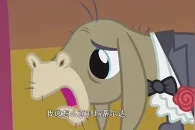 驴子的婚礼小马们都结婚了，这可超开心的哦视频封面