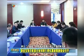新金宝项目配套企业招商引资优惠政策座谈会召开视频封面
