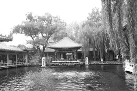 泉城如何“保泉”——山东济南水生态文明城市建设调研图片