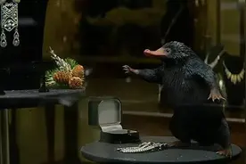 「微专栏」神奇动物在这里图片