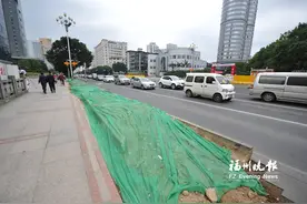 北二环与五四路交叉口拓宽改造 周边树木移植图片