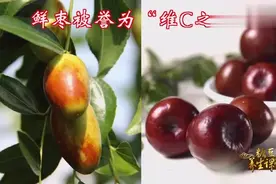 大枣抗癌补气，但这样吃伤肠胃你知道吗？视频封面