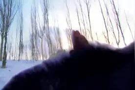 新天龙八部：猎户被恶狼狂追，萧峰出手相助，一掌把恶狼打飞了！视频封面