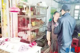 这些售卖点 还在卖鸡鸭图片