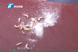 一袋饺子粉 竟然很有“料”视频封面