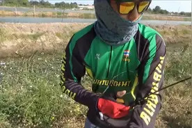 在乡村的小水沟中用路亚钓鲶鱼，收获还是非常不错的！视频封面