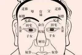 中医趣谈｜中医视野下的古代面相观图片