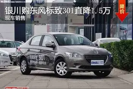 银川购东风标致301直降1.5万 现车销售图片